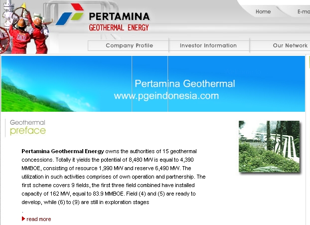 Pertamina plans increase on renewable energy business