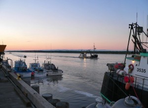 Naknek Co-op project to continue at King Salmon, Alaska