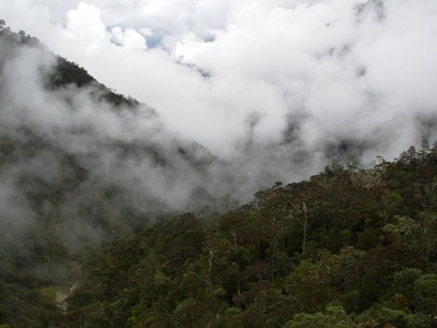 Indonesia’s protected forest open for power development