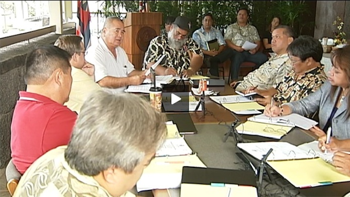 Hawaiian Geothermal Working Group founded.