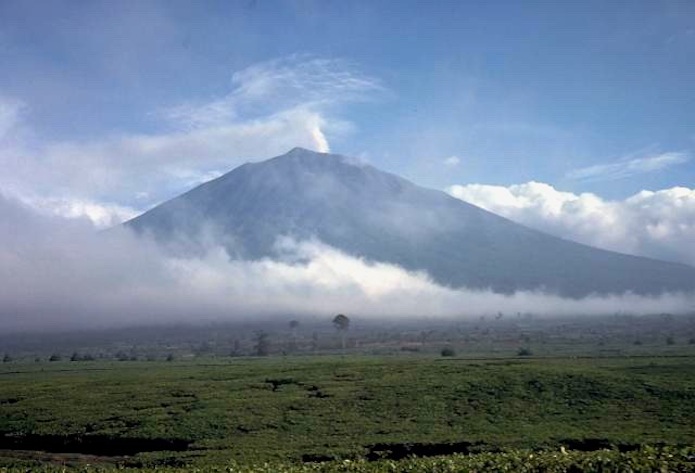 West Sumatra planning with 5 geothermal plants to be built by 2015