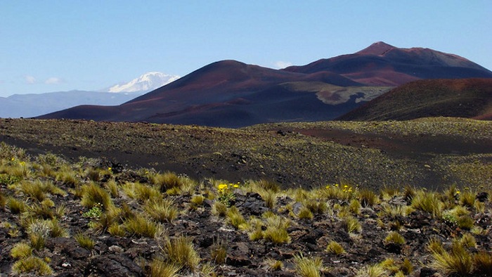 Tender for geothermal study in Domuyo, Nuequen, Argentina