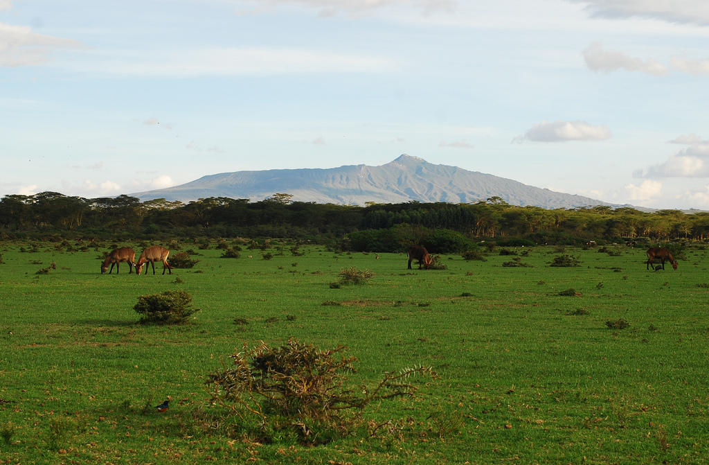 Workers on strike at Olkaria IV project site in Kenya