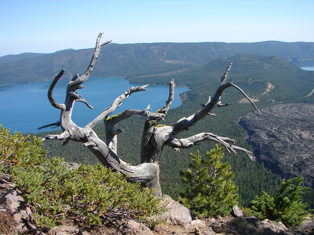 Drilling pad at Newberry project in Oregon vandalized