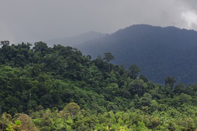 Indonesian Environment Ministry reject opening National Park for geothermal project