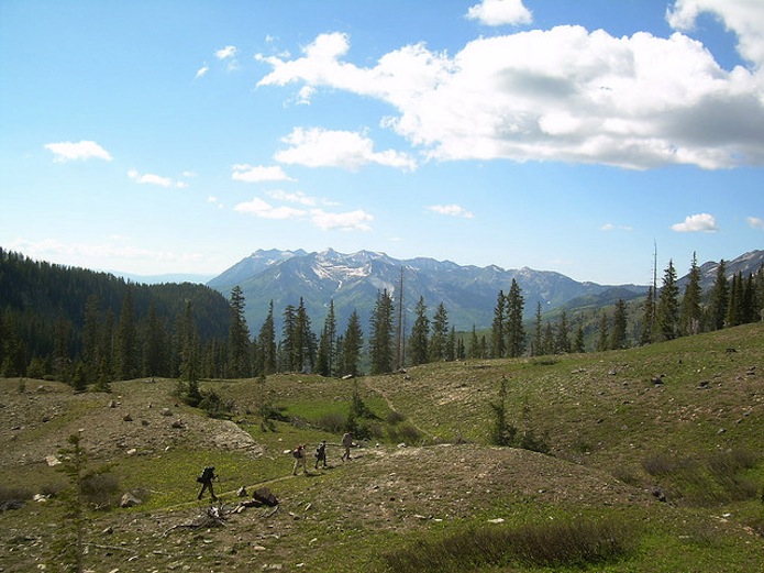 Local forest land to be opened to leasing process in Colorado