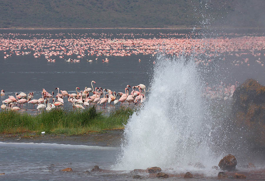 GDC seeks investors for 800MW Bogoria-Silale complex in Kenya