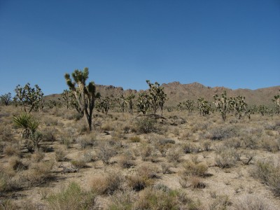 New legislation to speed up development in desert areas in California