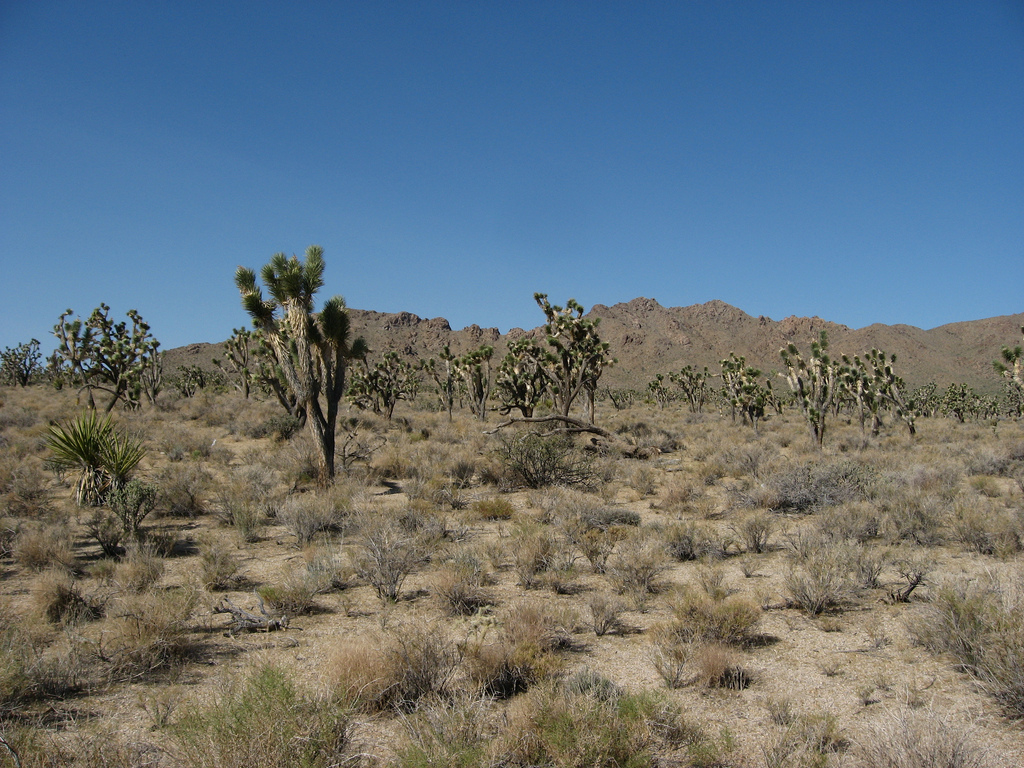 New legislation to speed up development in desert areas in California