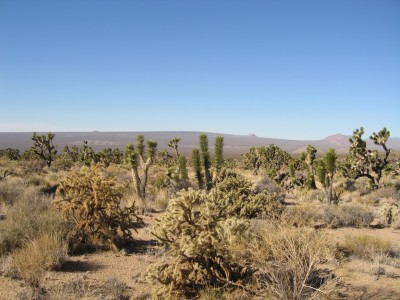 California and federal government partner up to fast-track renewable energy projects