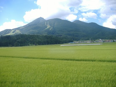 Opposition stalling geothermal development in Fukushima