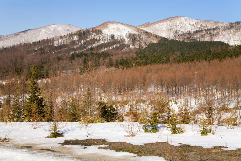 Paper firm exploring geothermal development in Hokkaido, Japan