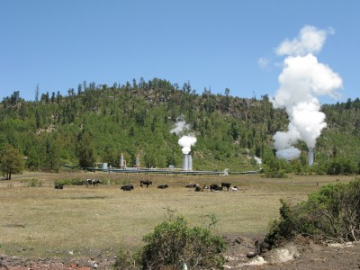 Four companies bidding for geothermal EPC contract at Los Azufres, Mexico