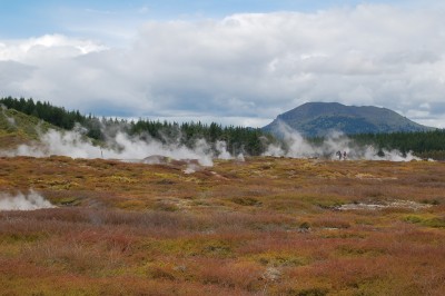 Geothermal site for sale at Taupo, New Zealand