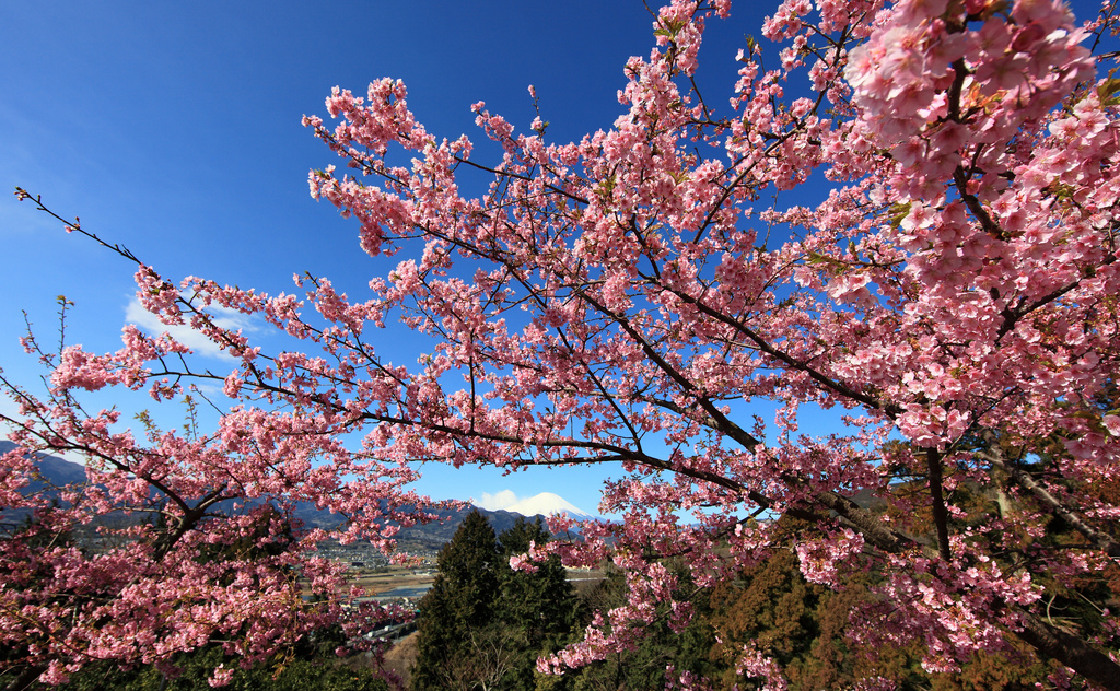 Japan to fund $19 million geothermal R&D program starting 2013