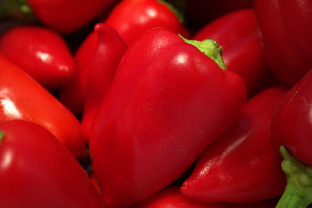Paprika | ThinkGeoEnergy - Geothermal Energy News