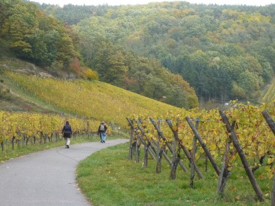 French group initiates start for geothermal heating project in Alsace, France