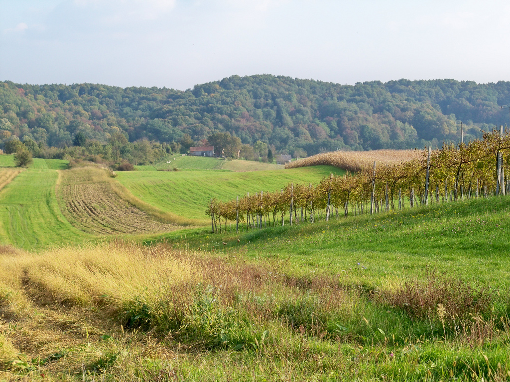 Chinese investors plan geothermal plant in Slatina, Croatia