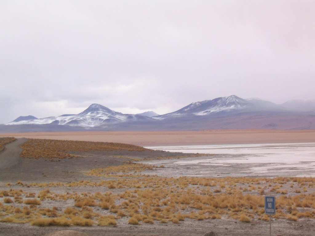 Laguna Colorada, Bolivia (source: flickr/ rewbs.soal, creative commons)