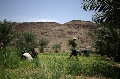 Increasing international Interest in Djibouti geothermal development