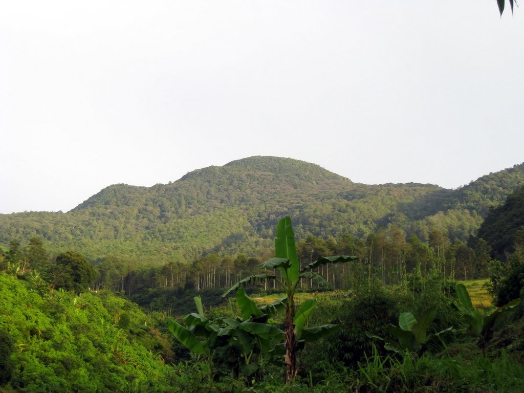 Drilling to kick off in 2021 at Tampomas geothermal project, West Java