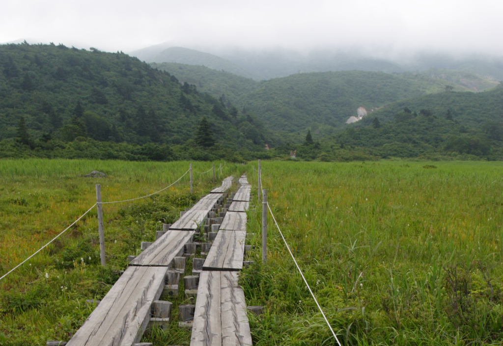Exploration survey work approved for project in Kurikoma, Japan