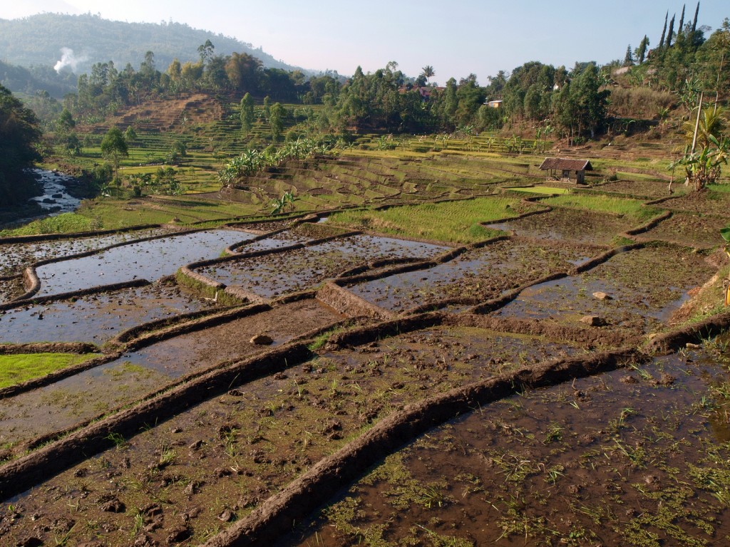 Indonesia considering state-owned enterprise to take over geothermal concessions