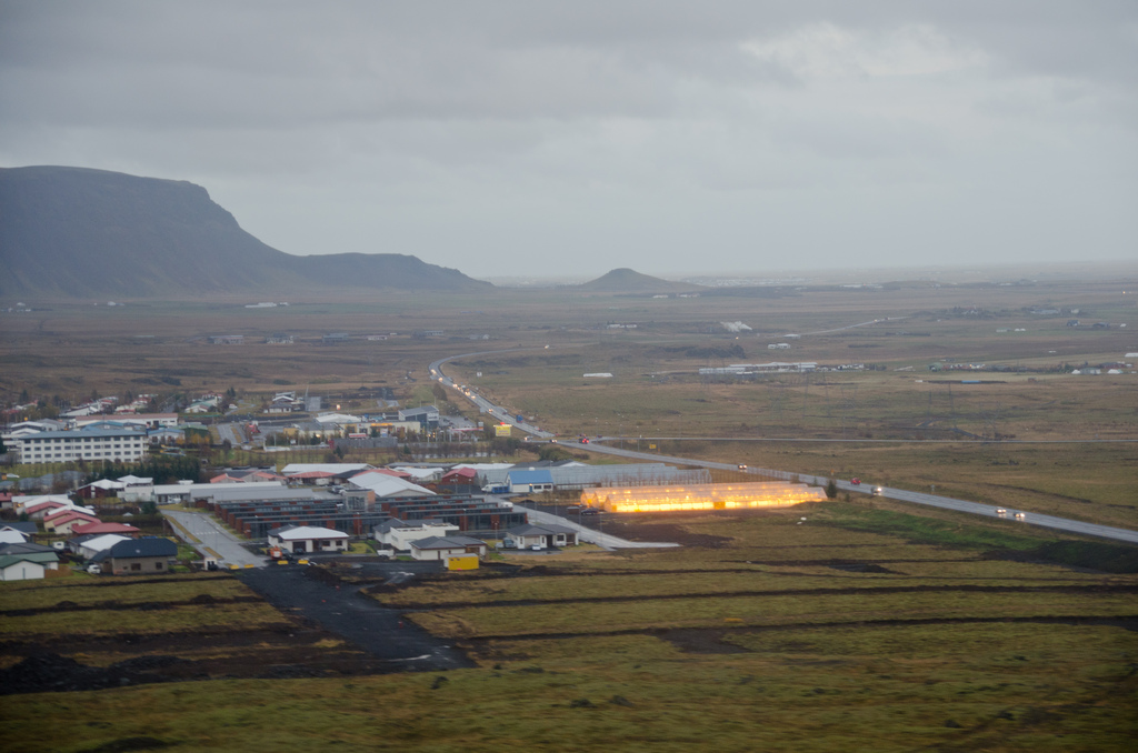 Iceland and its geothermal heated banana “Plantation”