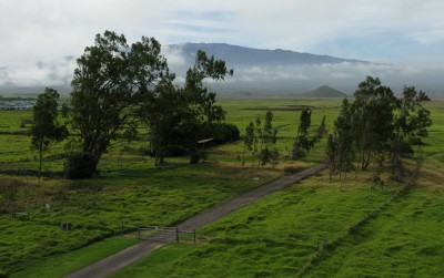 Largest landowner in Hawaii looks at geothermal development