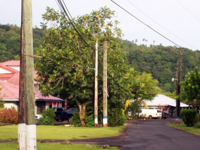 Geologists conducting initial geothermal study in American Samoa