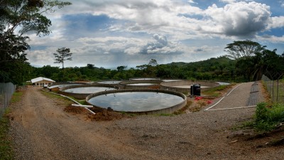 Fish farming operations planned in connection with Mindoro project