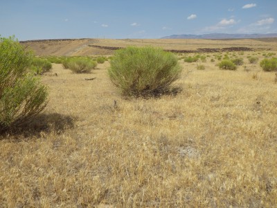 EGS research by scientists of the Idaho National Lab