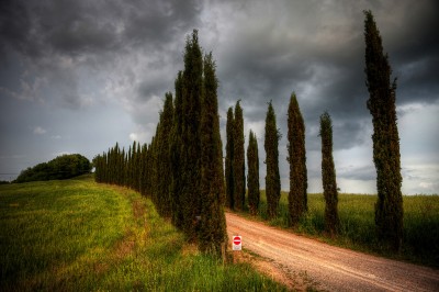 Enel Green Energy building combined biomass-geothermal plant in Tuscany