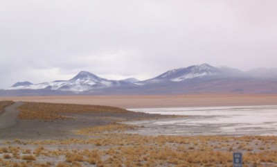 Tender announced for feasibility study of Laguna Colorada geothermal, Bolivia