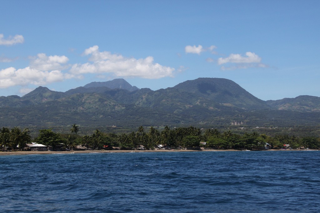 EDC continues reforestation near Southern Negros geothermal operations