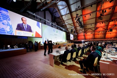 Putting a price on carbon to level playing field for renewables, COP21