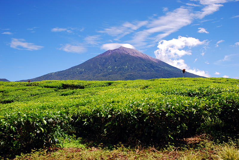 Indonesian province of Jambi estimates 400 MW geothermal potential