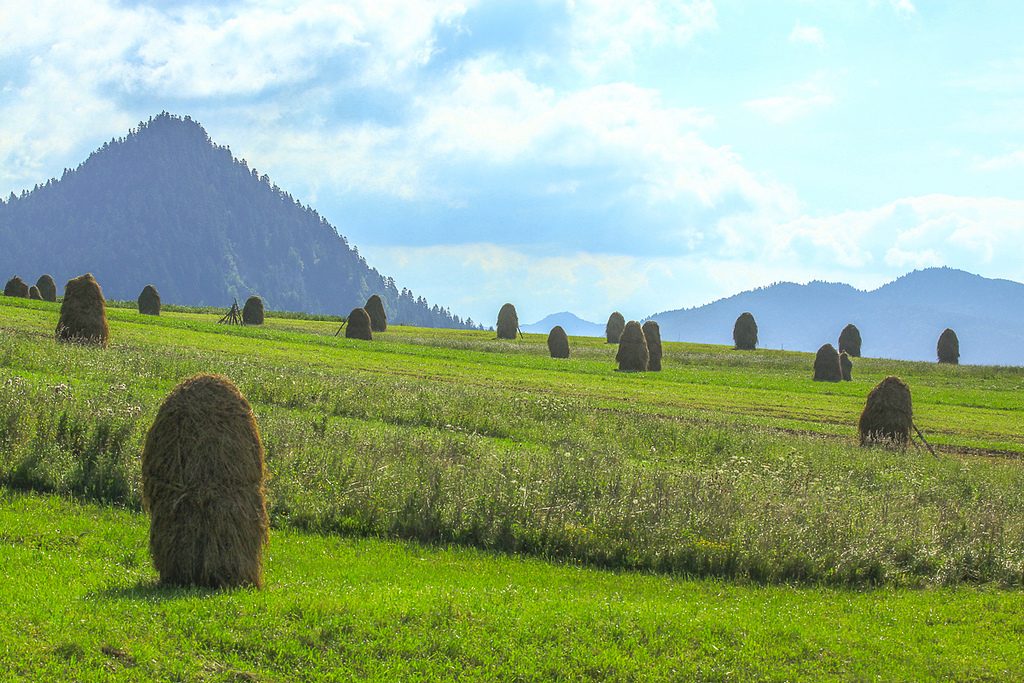 Poland could derive up to 30% of its heating from geothermal resources