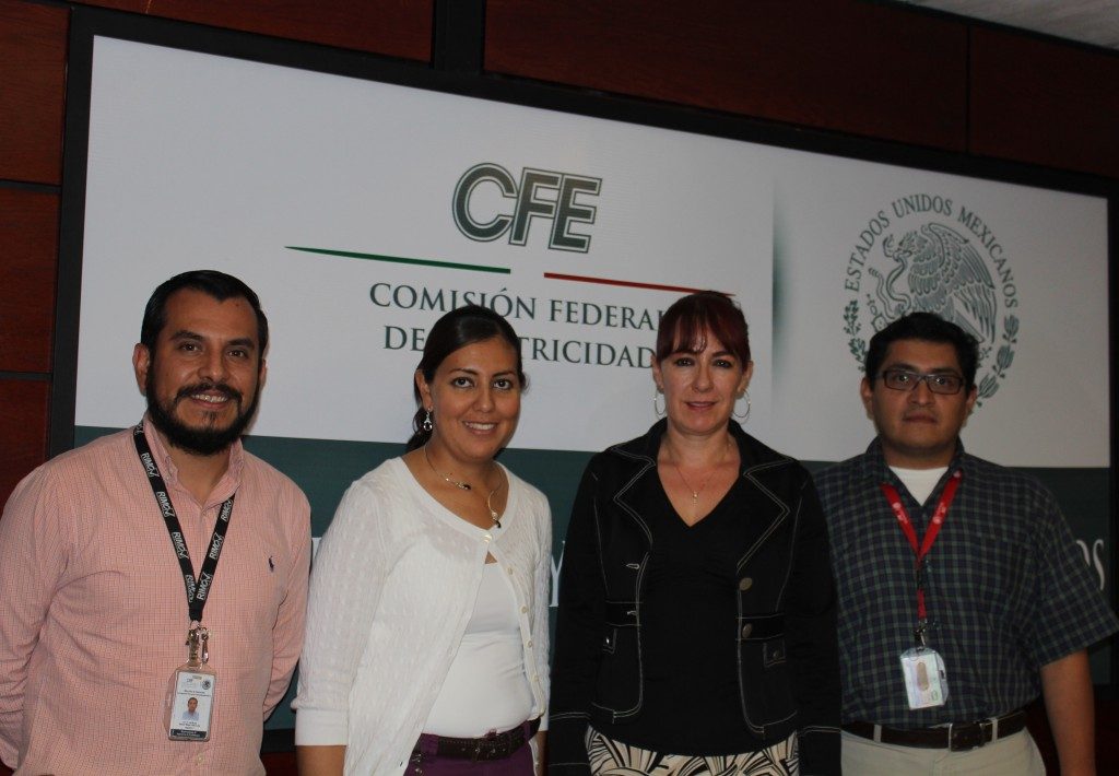WING interview with Magaly Flores, Manager Renewable Energy at CFE, Mexico