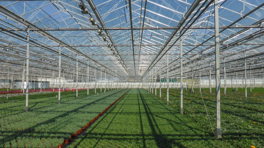 The future of farming is moving indoors – the opportunity for geothermal?