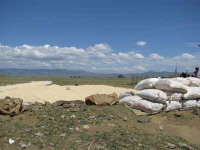 Project started on utilizing geothermal energy to dry grains in Kenya