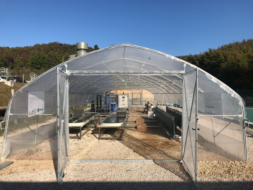 Algae cultivation in geothermal energy heated greenhouse, Italy