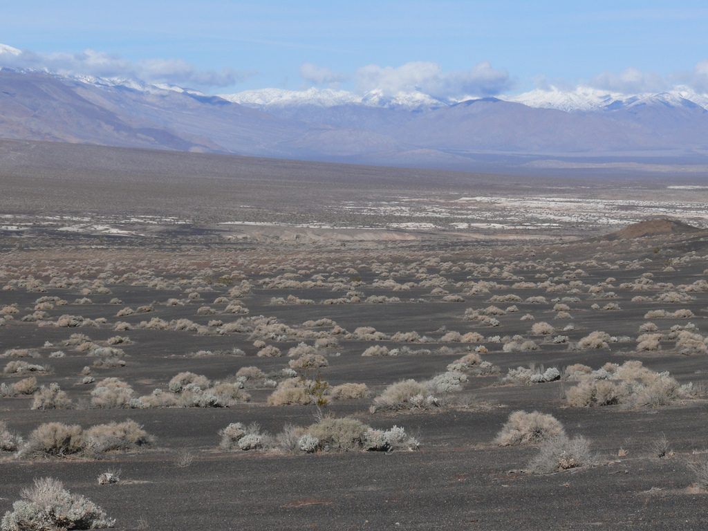 Geothermal lease sale in Nevada concludes with bids for two of ten parcels