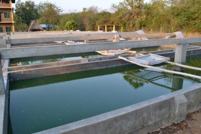 Project on production of algae from geothermal hotsprings started in Yalova,Turkey