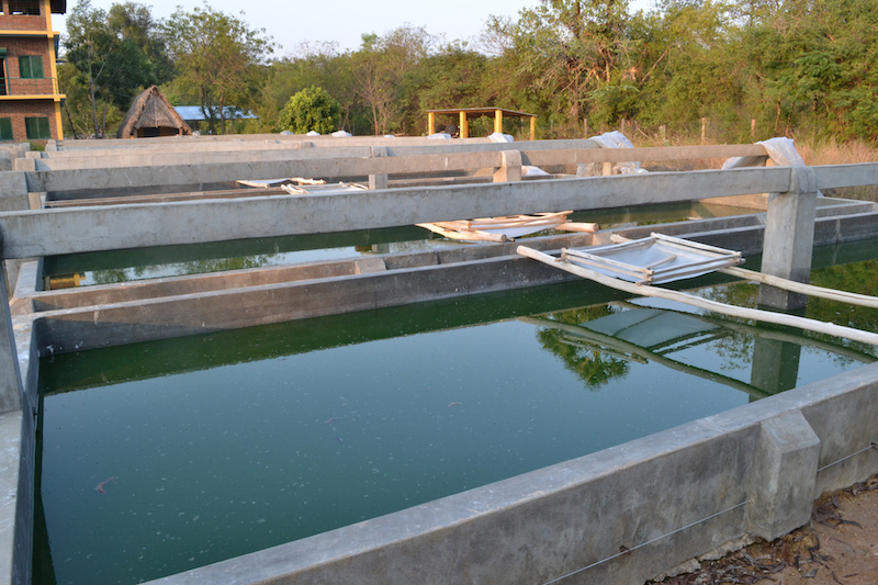 Project on production of algae from geothermal hotsprings started in Yalova,Turkey