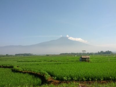 Indonesia expects an addition of 255 MW geothermal capacity in 2018