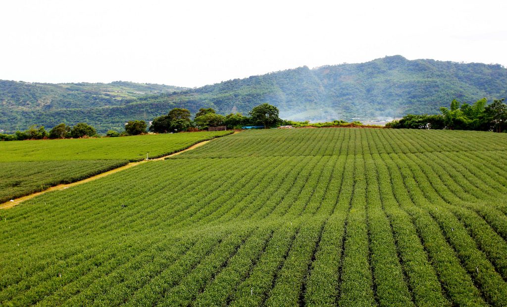 Small 30kW geothermal power unit breaks ground for further development in Taiwan