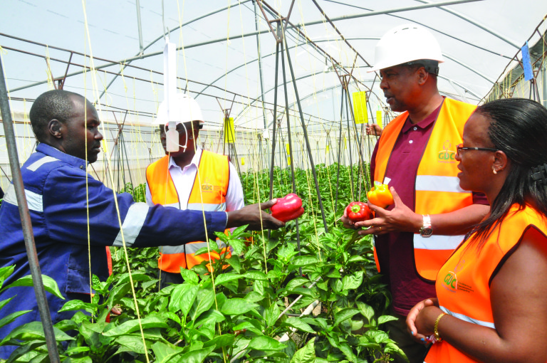 GDC setting emphasis on utilising geothermal energy to boost food security in Kenya