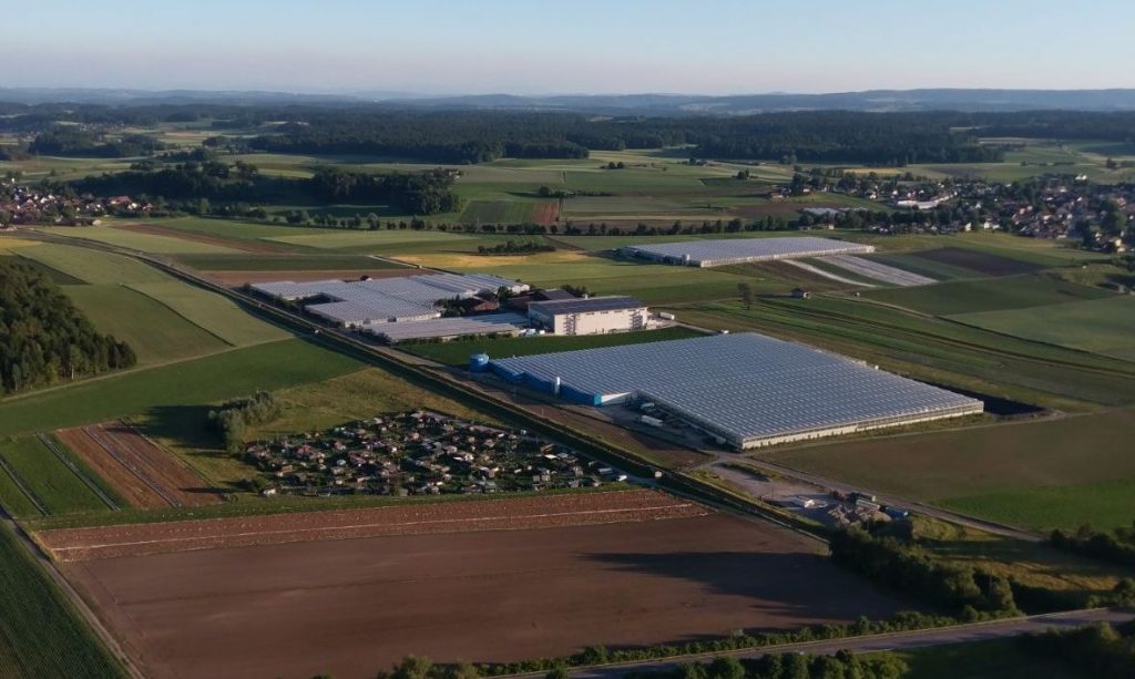 Pumps restarted for geothermal heating of greenhouse operations in Schlattingen, Switzerland