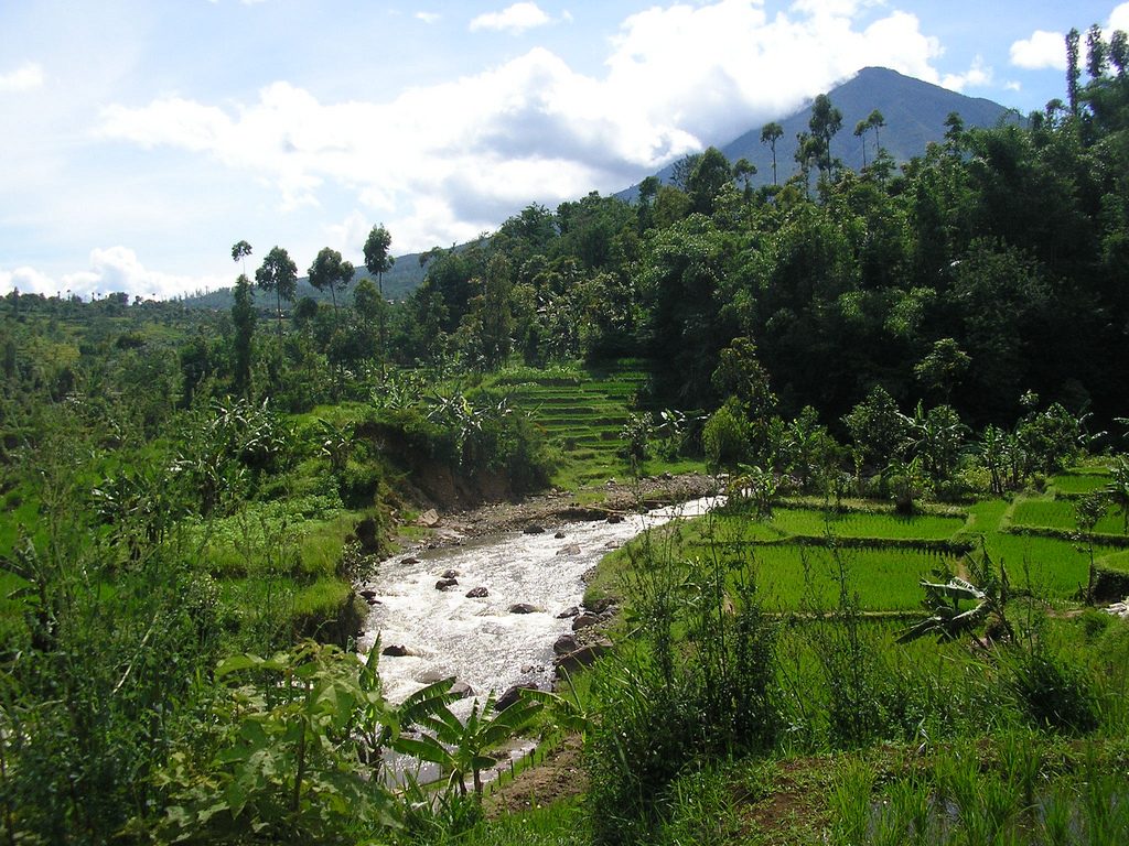 Pertamina Geothermal Energy helps revitalising lake near Kamojang